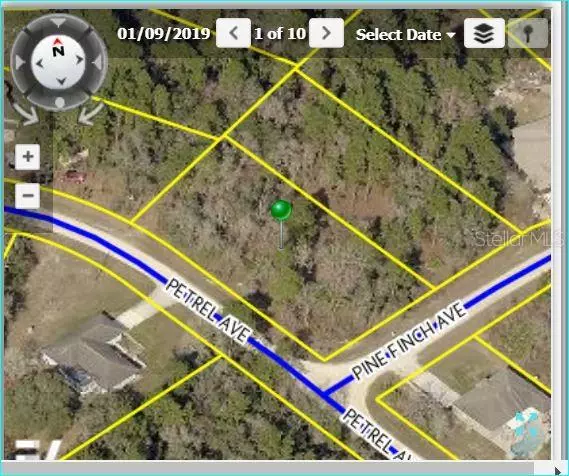 12163 PINE FINCH AVE, Weeki Wachee, FL 34614