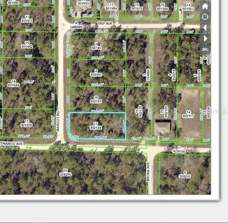 Weeki Wachee, FL 34614,11407 TINAMOU AVE