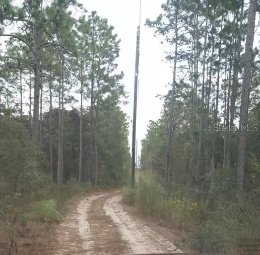 Weeki Wachee, FL 34614,13223 SENECA RD