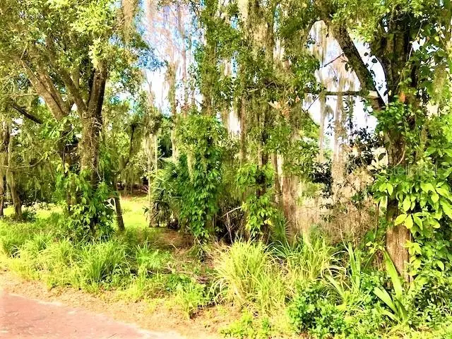 GRANDVIEW DR, Tarpon Springs, FL 34689