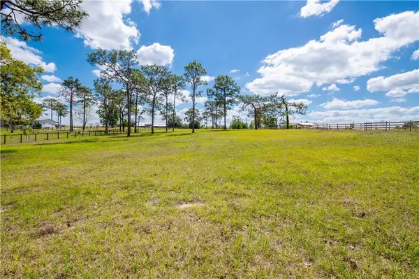 Brooksville, FL 34602,00 WILDLIFE LN