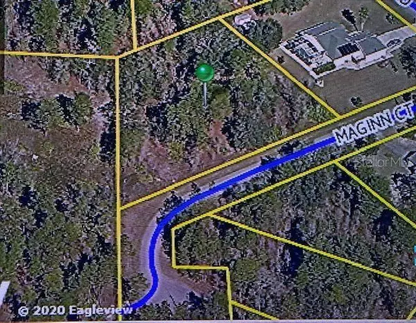 12505 MAGINN CT, Weeki Wachee, FL 34614