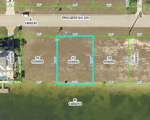 3464 TRIGGERFISH DR, Hernando Beach, FL 34607