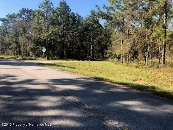 Spring Hill, FL 34609,JUMPER (LOT 9) LOOP