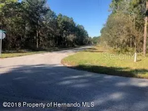 Spring Hill, FL 34609,JUMPER (LOT 9) LOOP