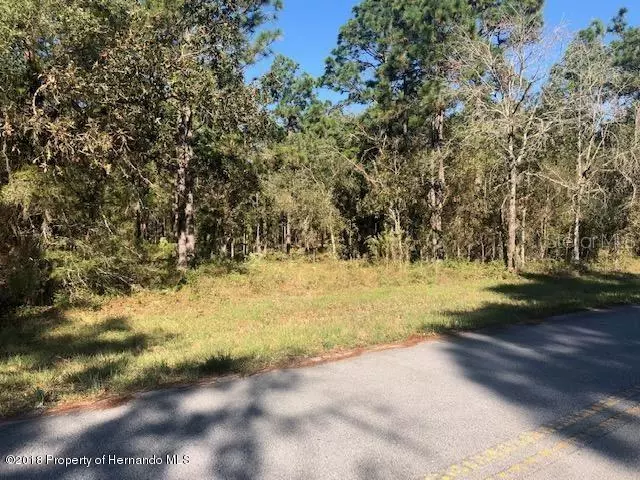 Spring Hill, FL 34609,JUMPER (LOT 9) LOOP