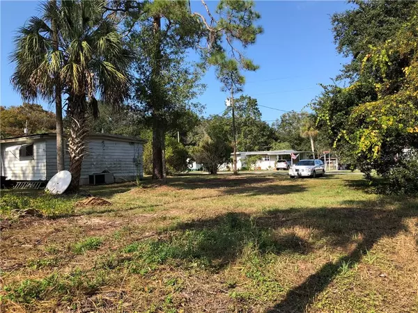 Weeki Wachee, FL 34607,6436 THERESA AVE