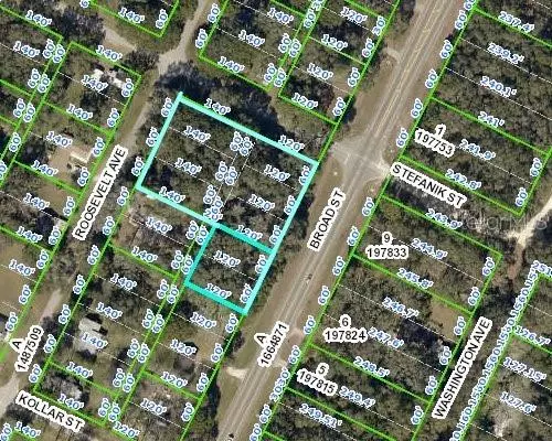 Brooksville, FL 34604,0 BROAD ST