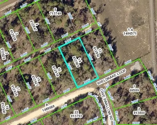 Weeki Wachee, FL 34614,0 SHELDRAKE LOOP