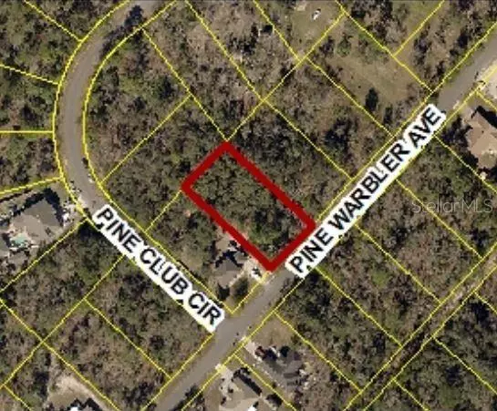 Weeki Wachee, FL 34614,0 PINE WARBLER AVE #Lot 13