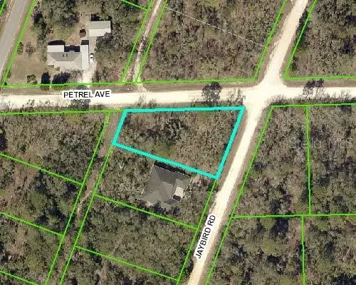 Brooksville, FL 34614,0 PETREL AVE