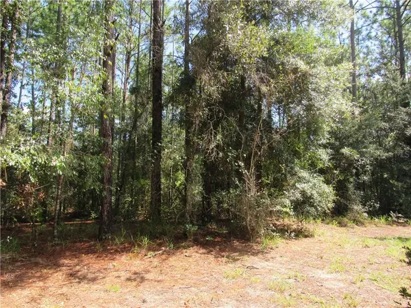 Brooksville, FL 34602,28873 SUGARSAND PL