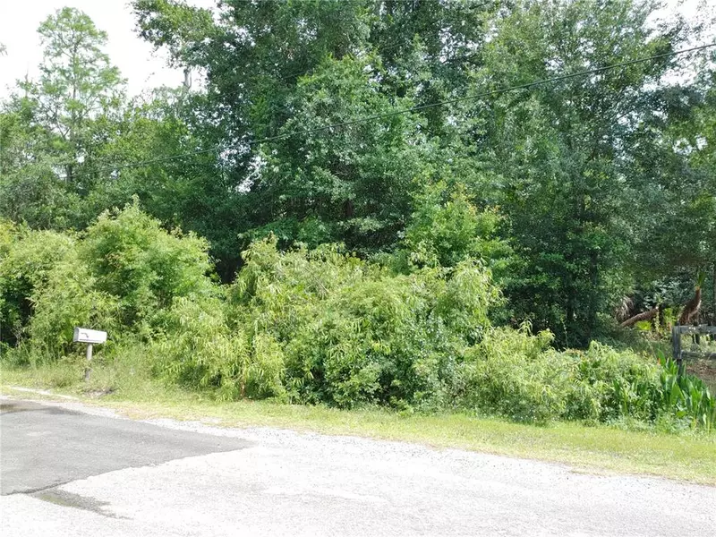 0 GOLDEN MEADOW DR, Wesley Chapel, FL 33544