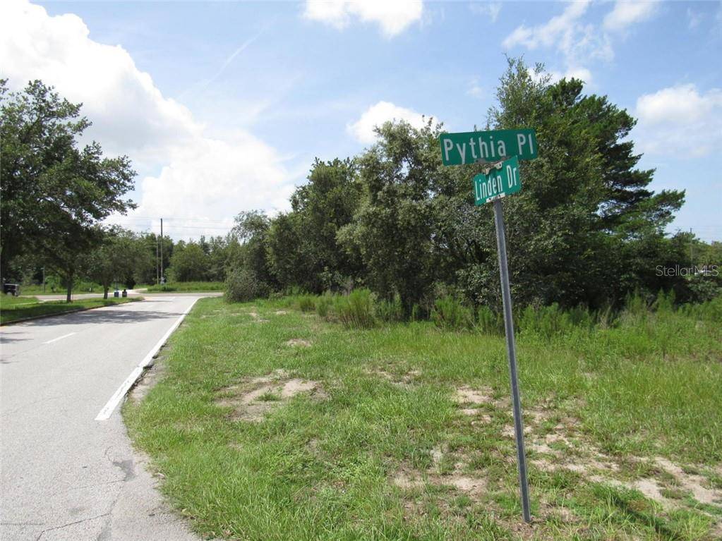Spring Hill, FL 34609,LINDEN DR