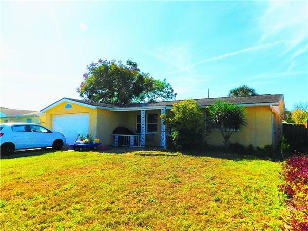 10105 VINEYARD LN, Port Richey, FL 34668