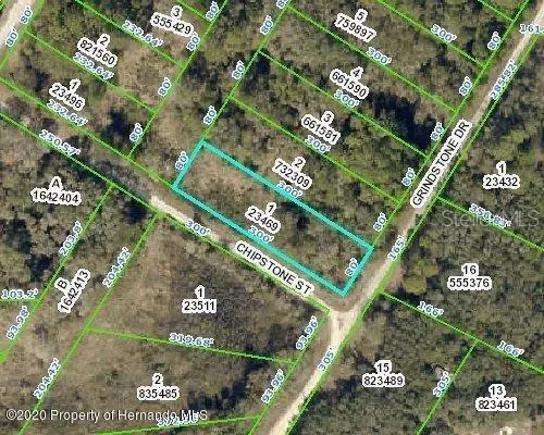 Webster, FL 33597,0 CHIPSTONE ST