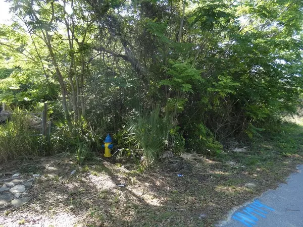 Hudson, FL 34667,0 HICKS RD