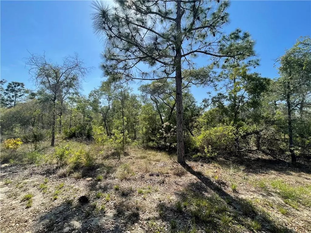 Weeki Wachee, FL 34614,12227 ESKIMO CURLEW RD