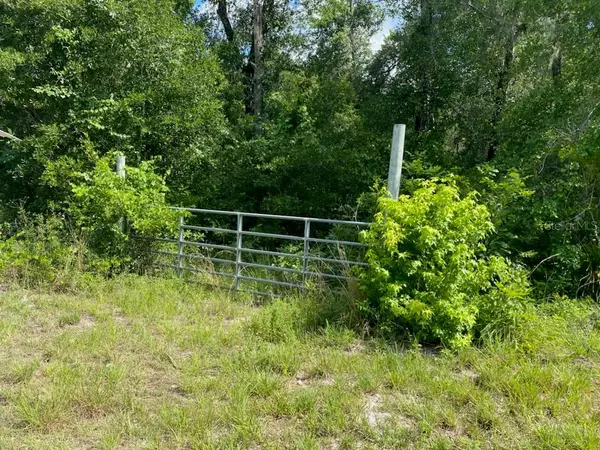 Webster, FL 33597,Address not disclosed