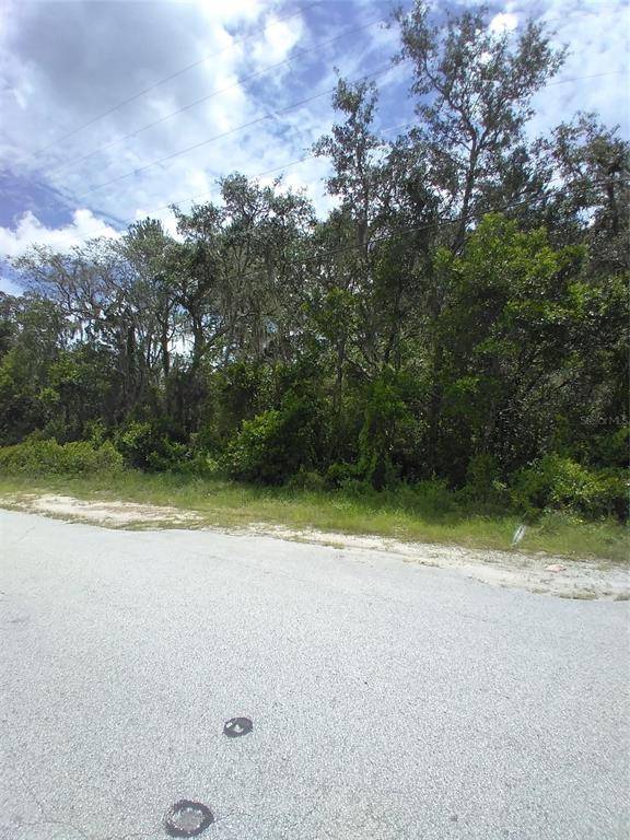 RANDEE, New Port Richey, FL 34654