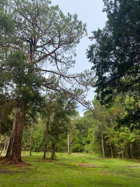 7755 W MISTFLOWER PL, Homosassa, FL 34448