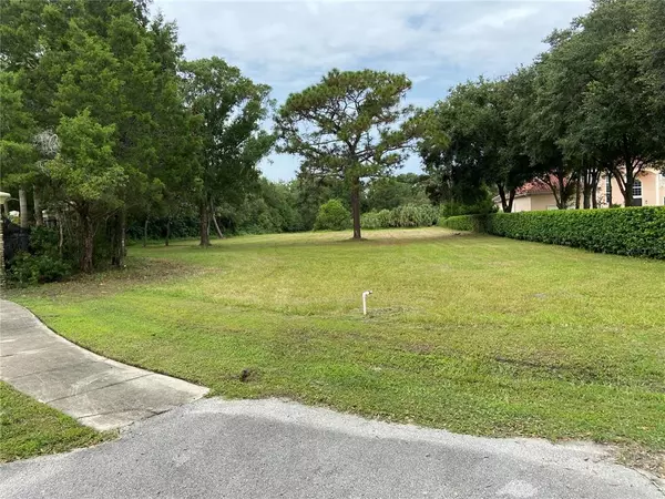 Tarpon Springs, FL 34688,LOT 1 KEYSTONE PALMS BLVD