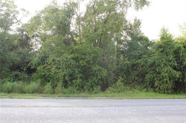 SHADY HILLS RD,  Spring Hill,  FL 34610