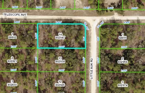 16297 LITTLE AUK RD, Weeki Wachee, FL 34614