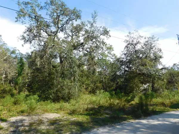 New Port Richey, FL 34654,0 BOUNTY ST