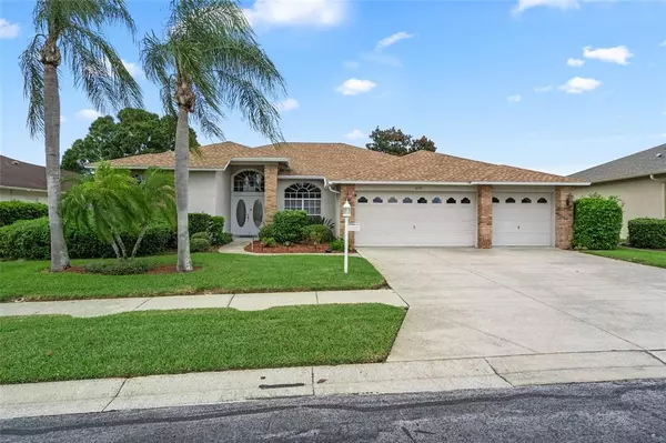 1117 RAMBLING VINE CT,  Trinity,  FL 34655