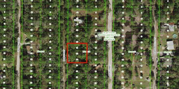 WEBB ST, New Port Richey, FL 34654