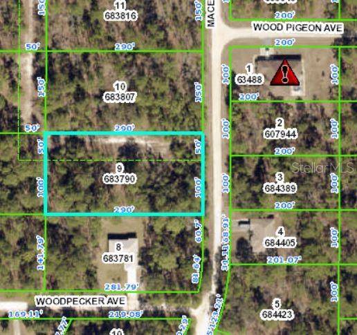 17473 MACEK RD, Weeki Wachee, FL 34614