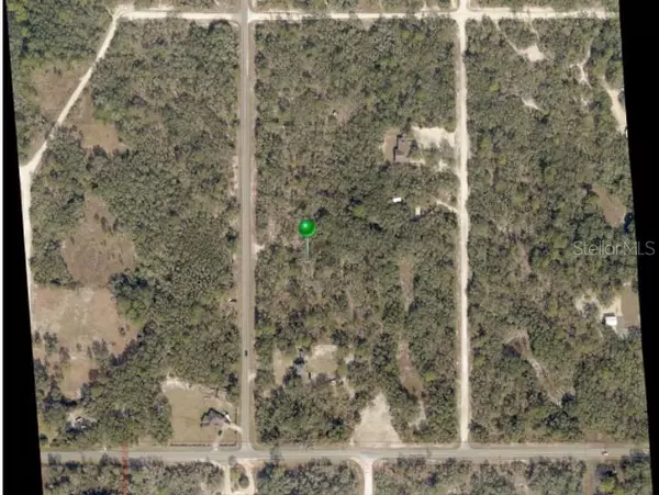 Webster, FL 33597,0 WHEYSTONE DR