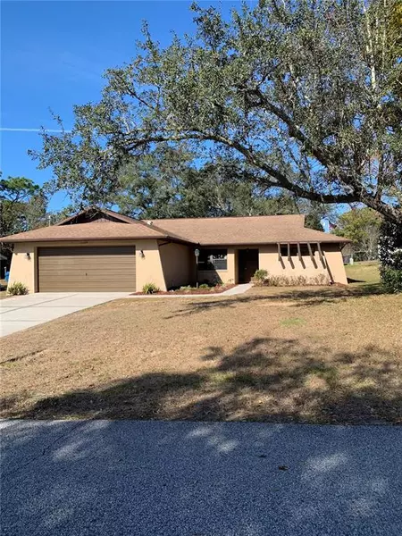 11499 LAGORCE AVE, Spring Hill, FL 34609