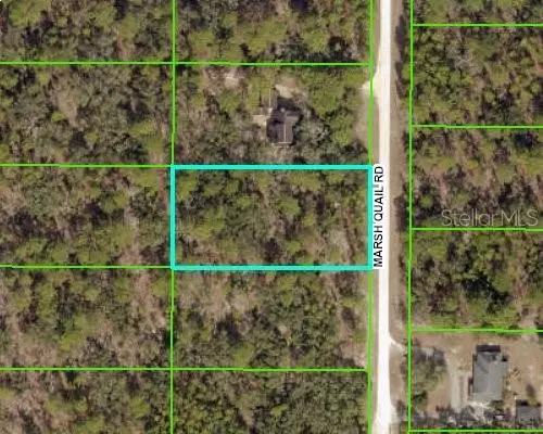 Weeki Wachee, FL 34614,16027 MARSH QUAIL RD