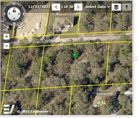 13210 SPRUCE GROUSE AVE, Weeki Wachee, FL 34614