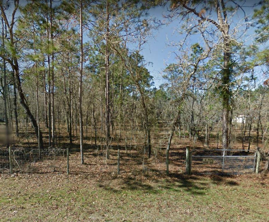 0 NE 134TH CT, Williston, FL 32696