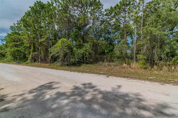 Weeki Wachee, FL 34614,11123 HEMLOCK WARBLER RD