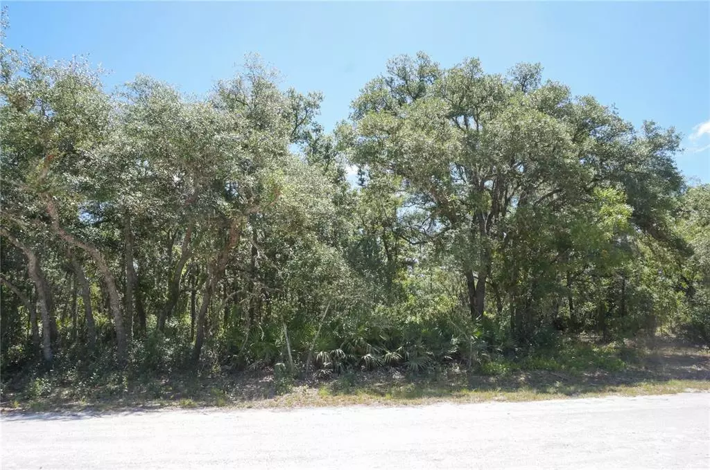 Webster, FL 33597,8190 RENOVA DR