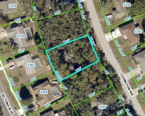Spring Hill, FL 34608,2315 COVINGTON AVE