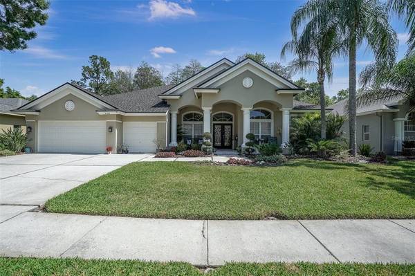 4105 AMBER LN, Palm Harbor, FL 34685