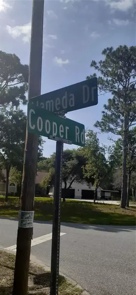 00 ALAMEDA DR, Spring Hill, FL 34609