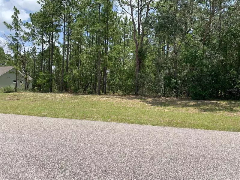 0 SAGO DR, Brooksville, FL 34604