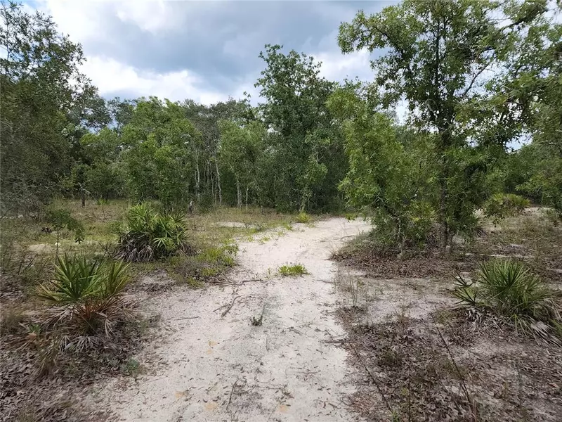 6215 S DESERTROCK TER, Lecanto, FL 34461