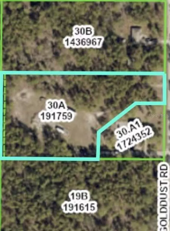 Spring Hill, FL 34609,GOLDDUST