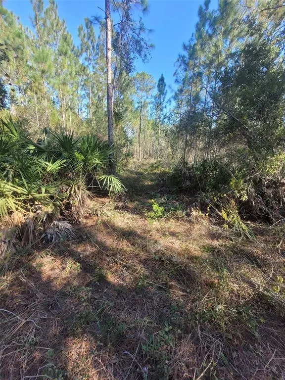 Ridge Manor, FL 33523,Lot 3 RUBY AVE