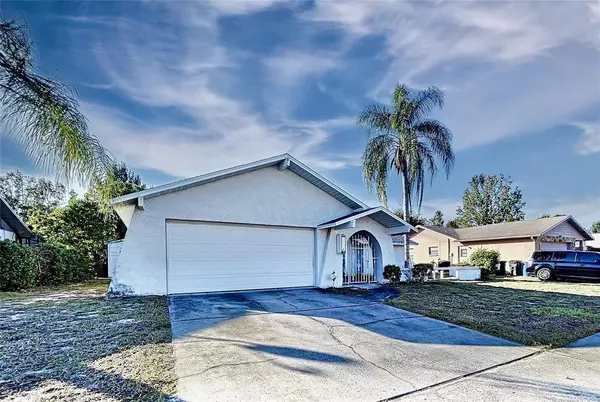 Port Richey, FL 34668,8023 BUTTONBALL LN