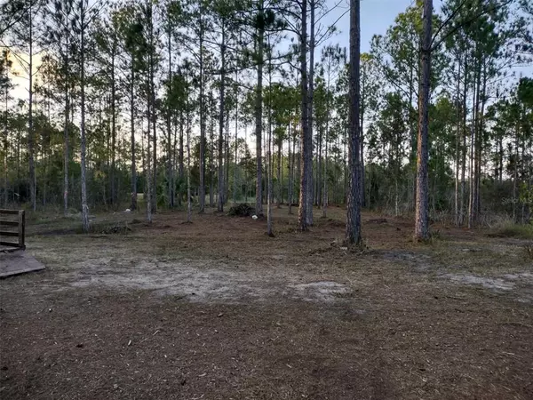 Webster, FL 33523,Lot 46 OTTER DR