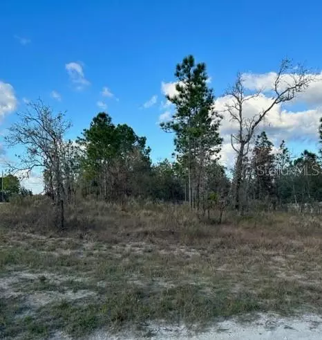 Weeki Wachee, FL 34614,0 SANDERS AVE - LOT 21