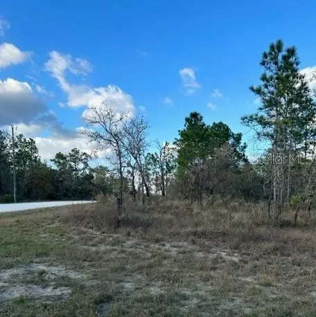 0 SANDERS AVE - LOT 21, Weeki Wachee, FL 34614